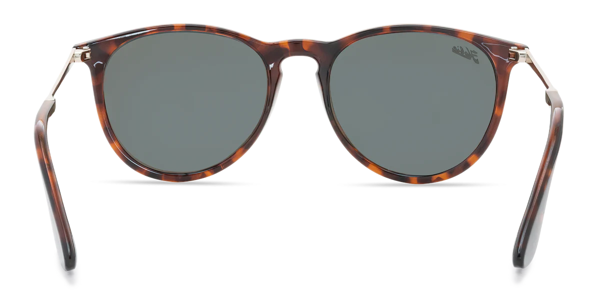 Hobie Maywood Tortoise/Grey Cobalt
